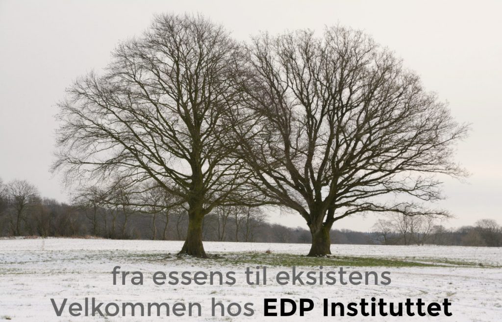EDP Instituttet